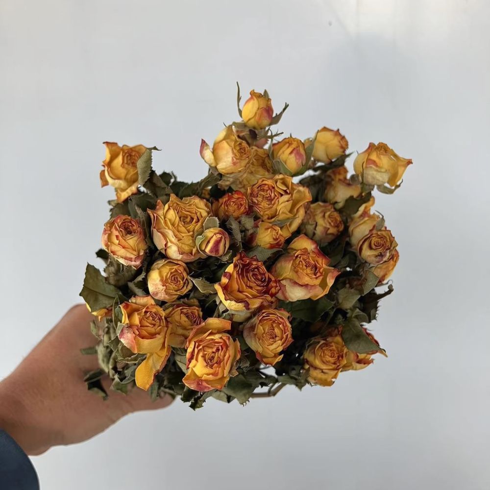 Real Preserved Roses Dried Flo - Resin Art Rose review and price