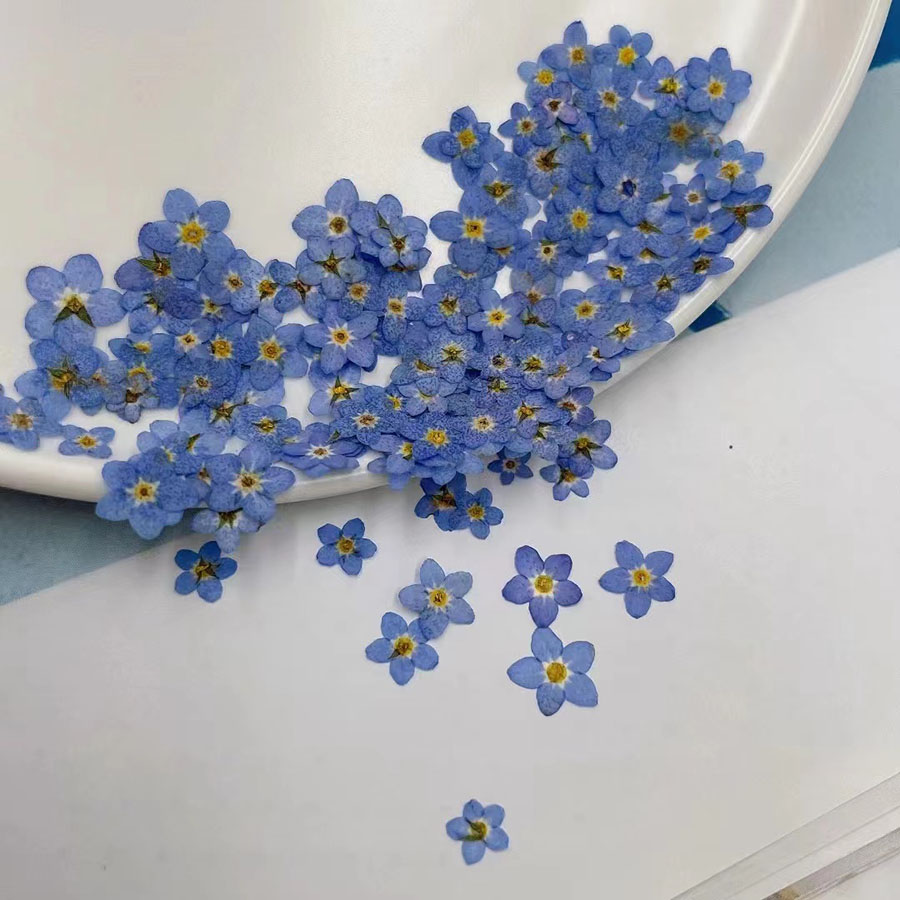 60pcs Mini Pressed Dried Flowe - Resin Art Baby review and price